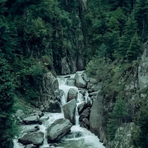 Chennai to Wayanad Tour Packages