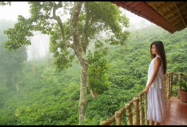 best WAYANAD COUPLE tour PACKAGE