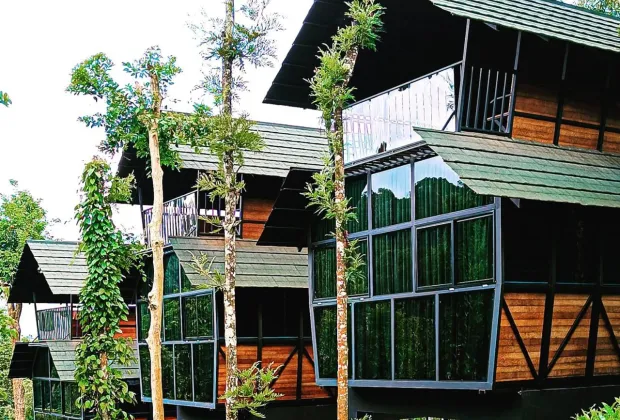 best tree house stay in wayanad
