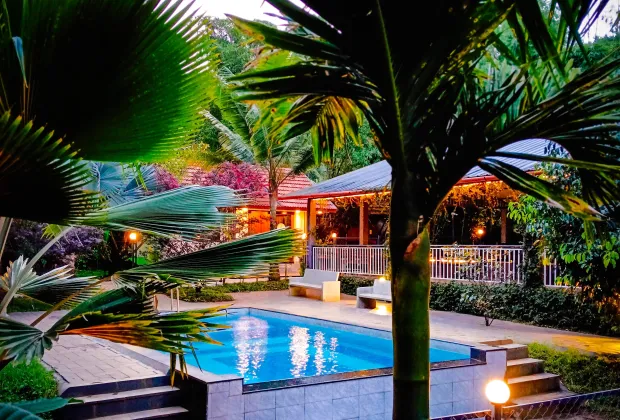 Best Wayanad Tour Packages